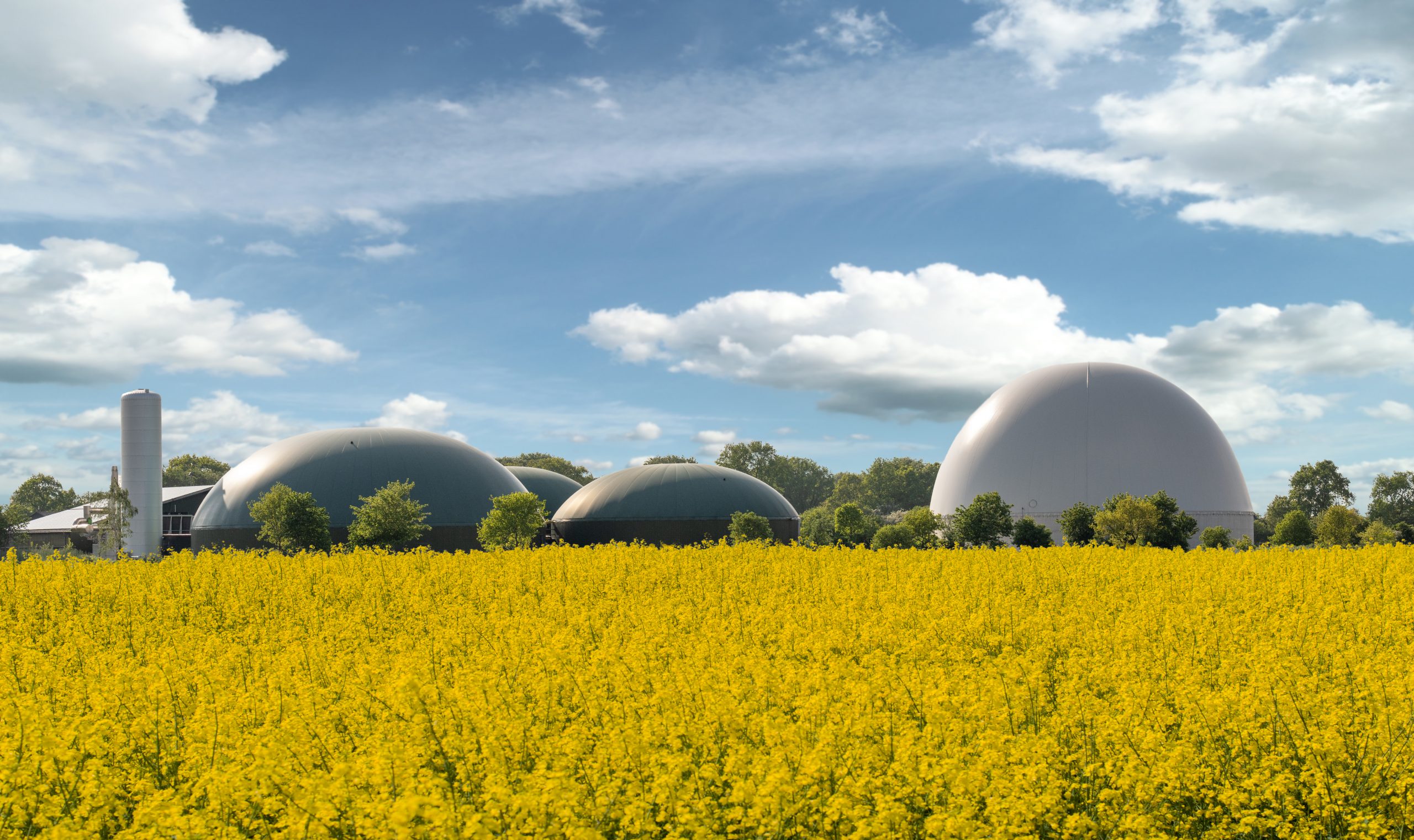 El Día de Soria: Biomethane, an Opportunity for the Growth of a Greener and More Sustainable Economy