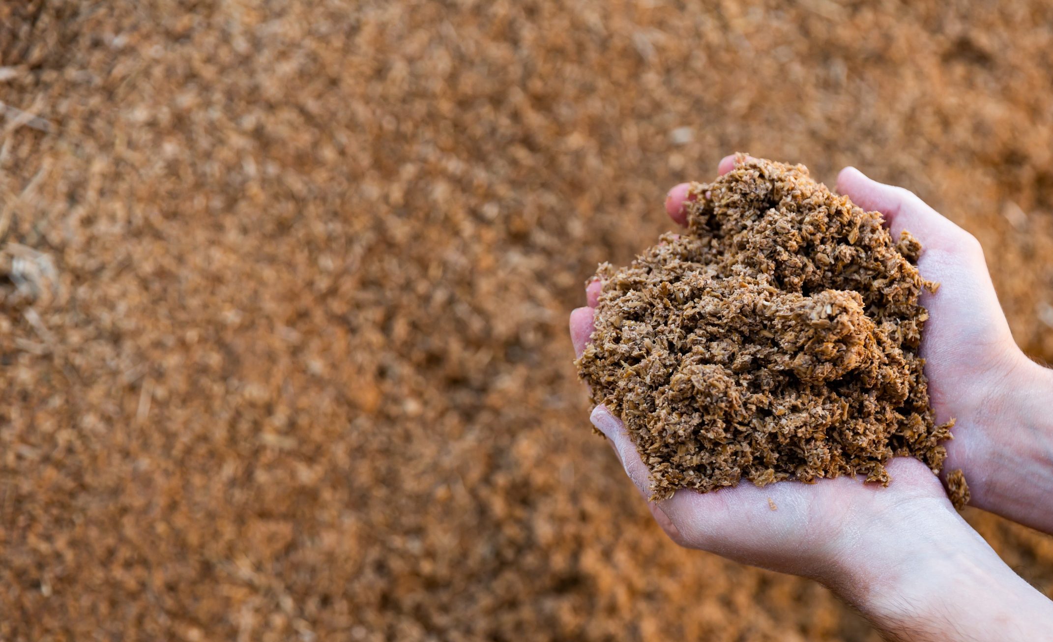 Organic fertiliser production 