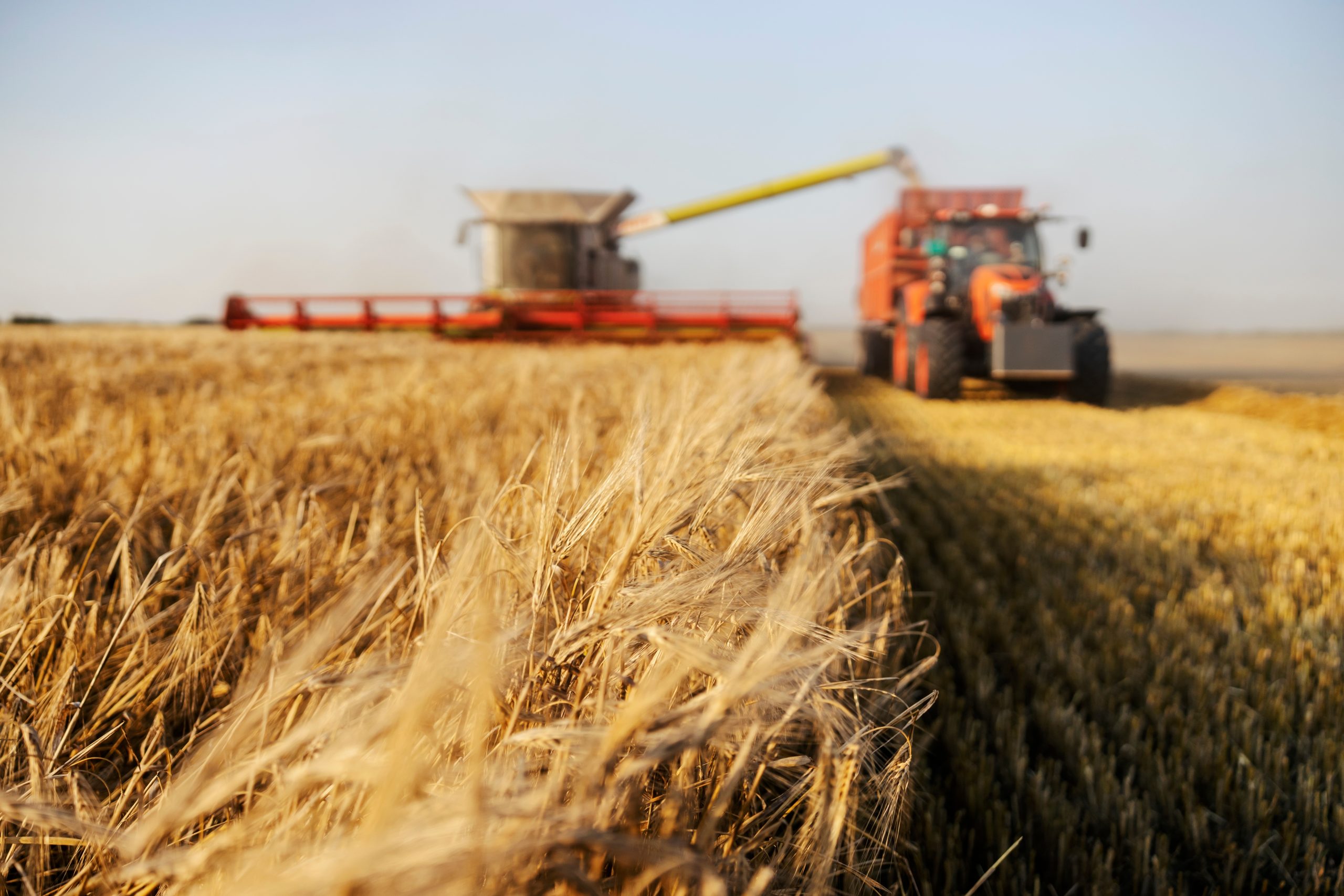 Boosting sustainable economic growth