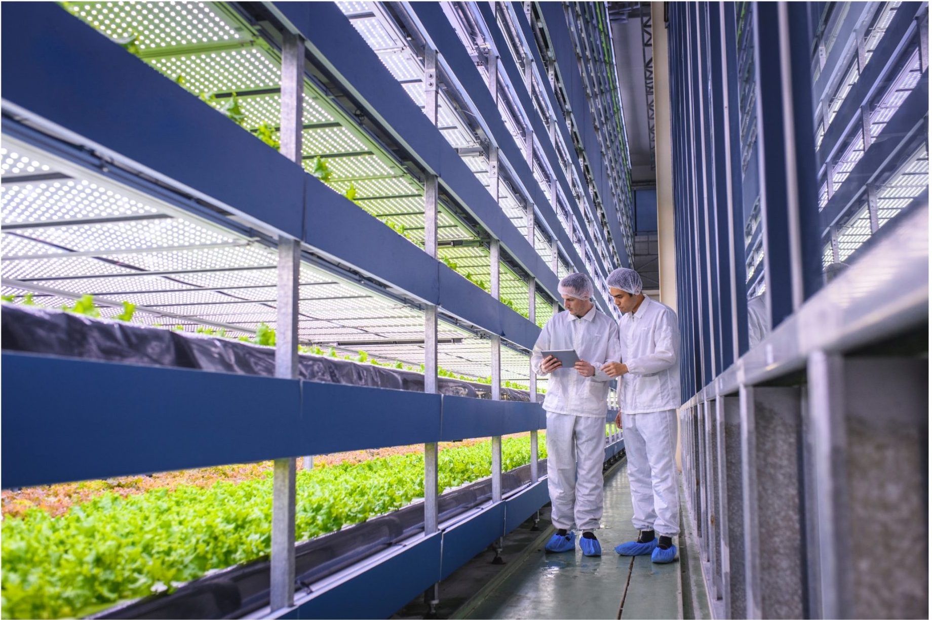 Agricultura e invernaderos