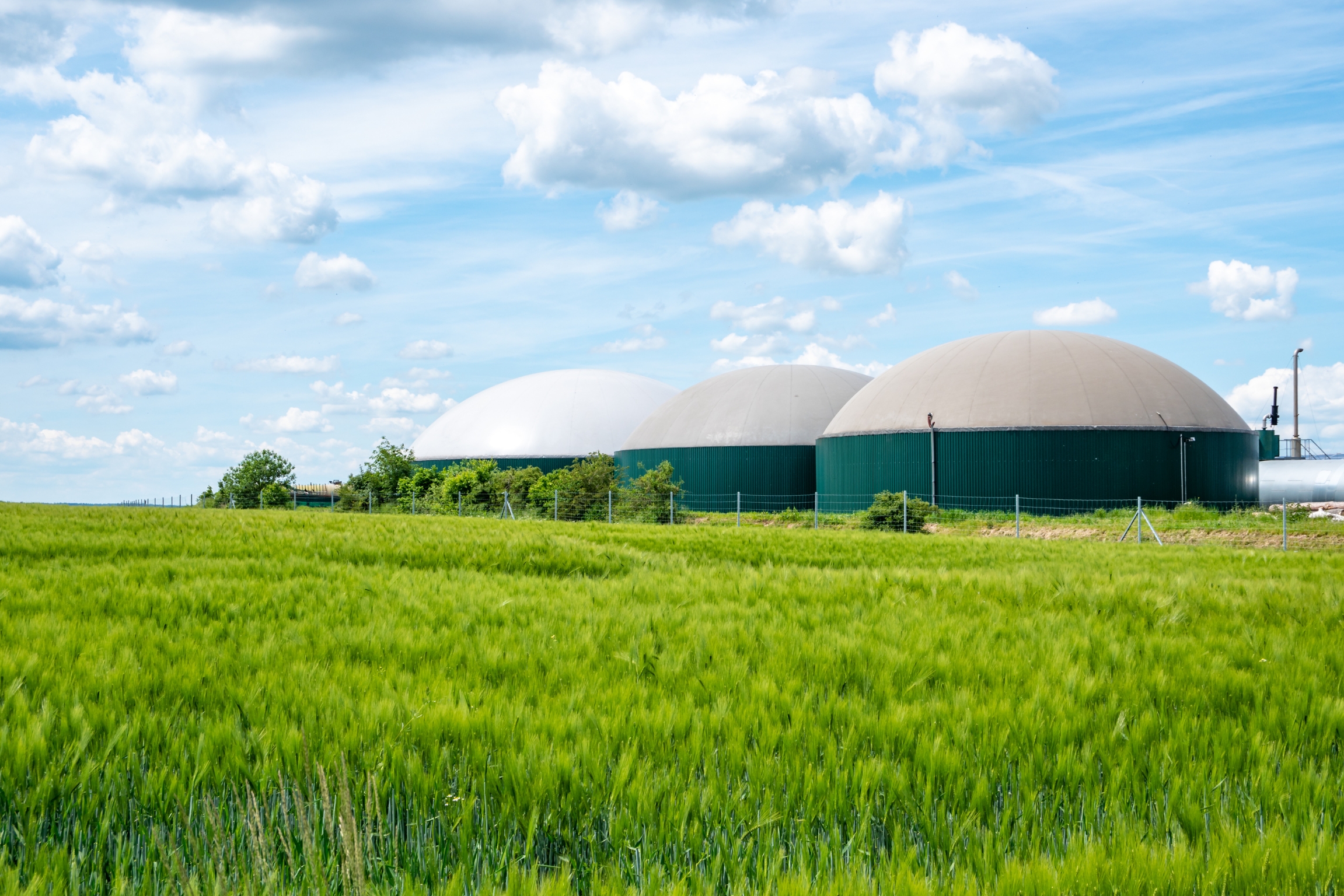 Biomethane from a scientific perspective: a safe and sustainable solution for the primary sector