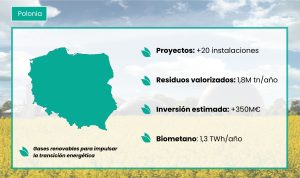 PLANPOLONIA