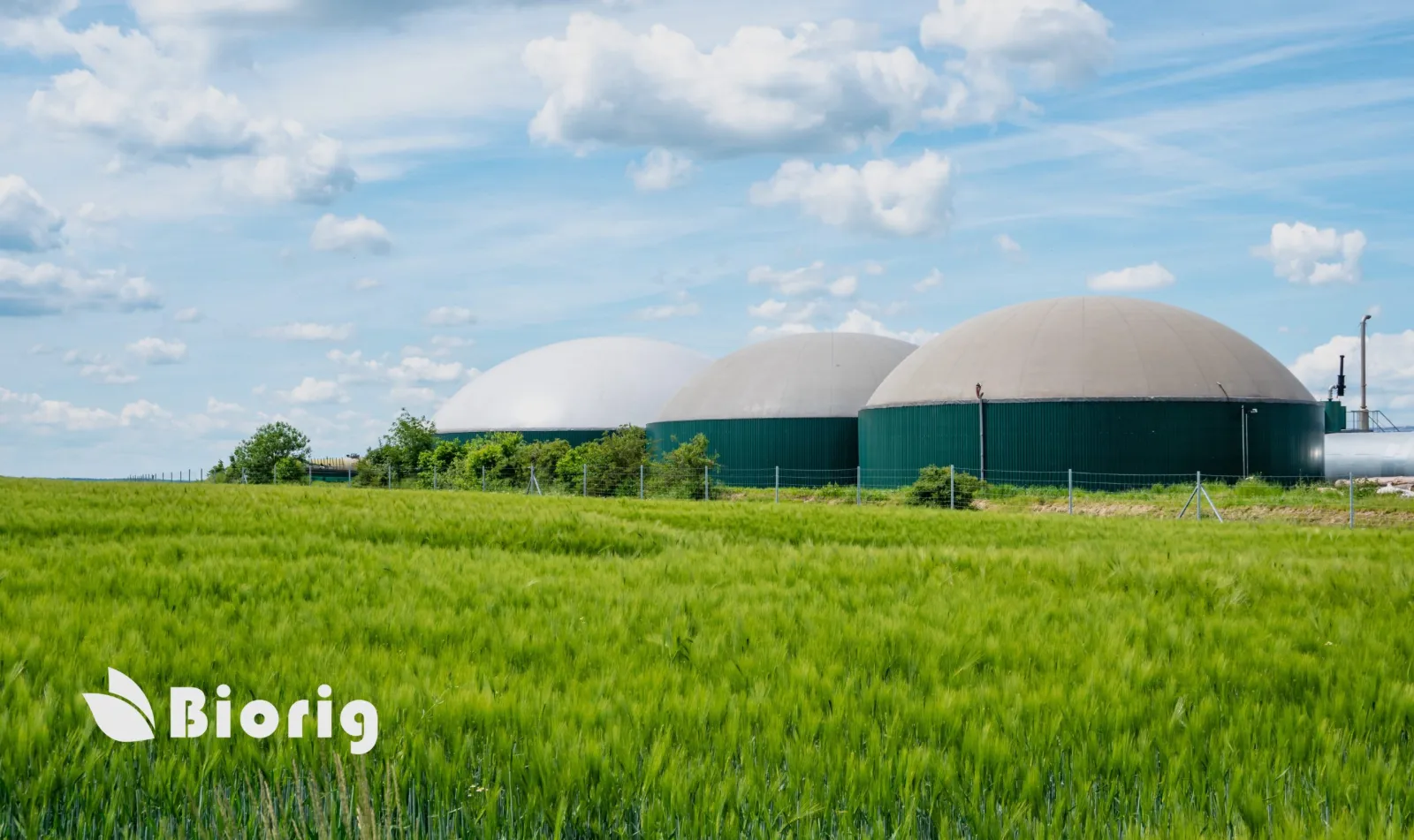 El biometano en Europa: una industria de éxito de Dinamarca a Italia