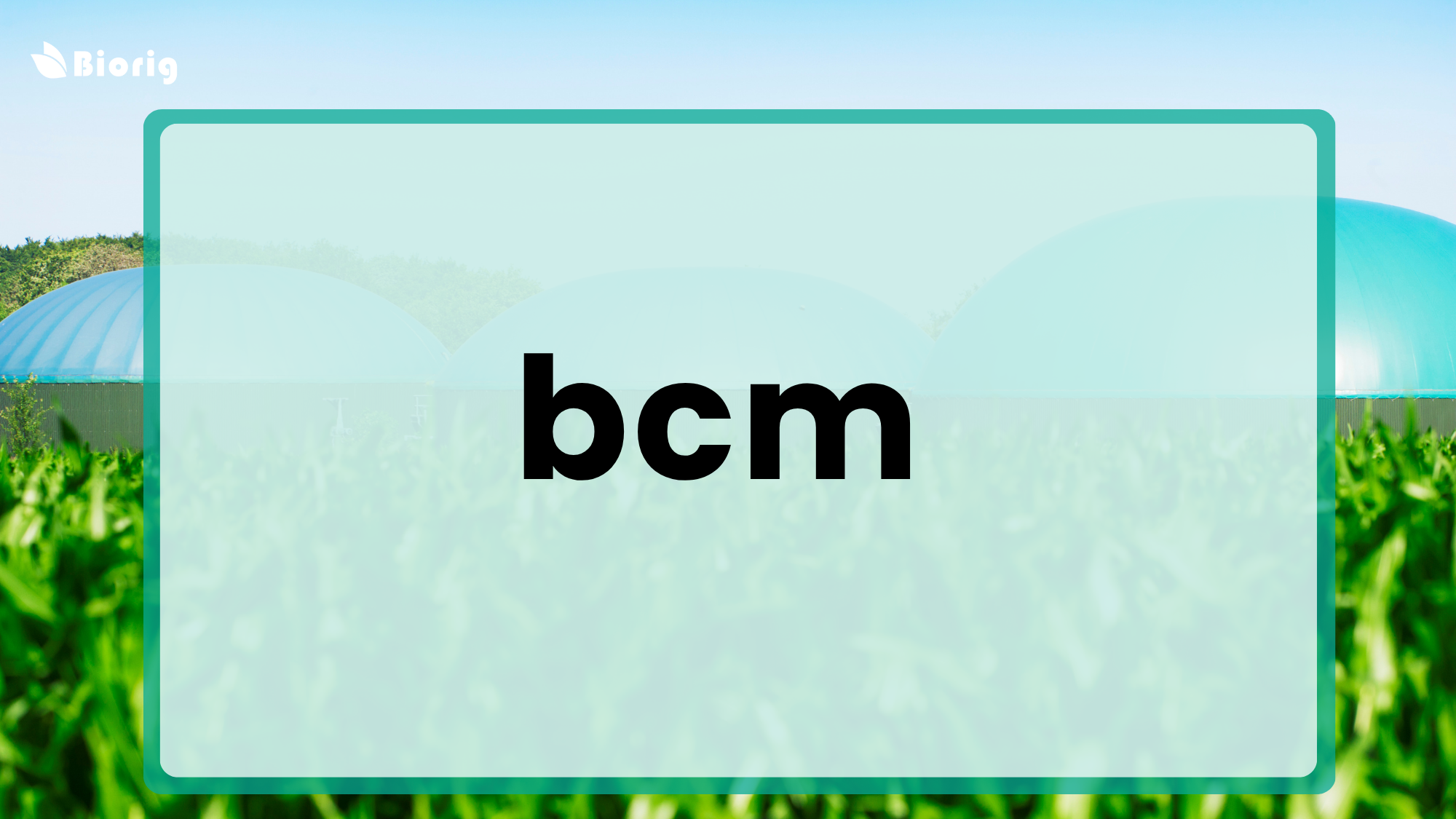 What does bcm stand for?