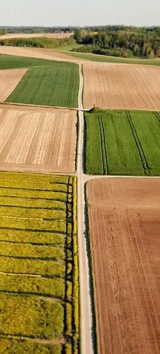 Vista aérea de campos agrícolas de distintos cultivos y tonos